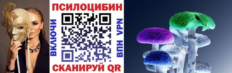 KRAKEN ссылки  Шали  Галлюциногенные грибы GOLDEN TEACHER 