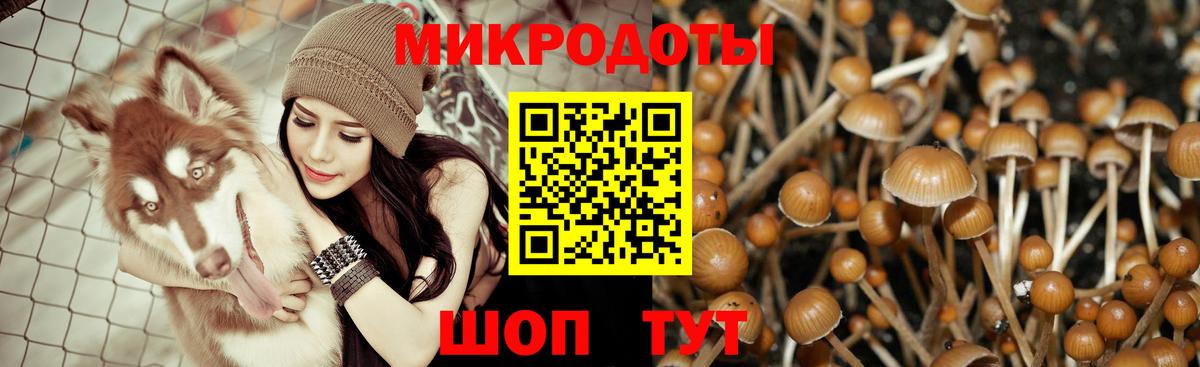 Галлюциногенные грибы мухоморы Шали
