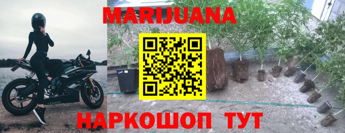 Марихуана Bruce Banner Шали